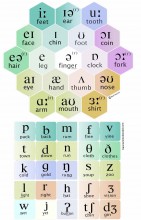 A new phonemic chart from Mark Hancock on hancockmcdonald.com