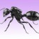 Image from Authentic Listening Resource Pack