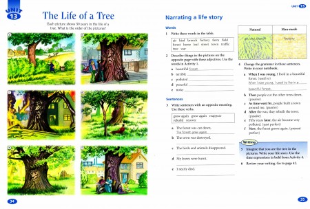 The Life of a Tree