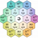 Pronpack Sound Chart - hancockmcdonald.com/node/457/edit