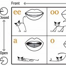 Tongue Cats - hancockmcdonald.com/materials/tongue-cats