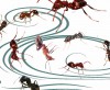 Decoding: The Nitty Gritty of Listening - hancockmcdonald.com/ideas/decoding-nitty-gritty-listening